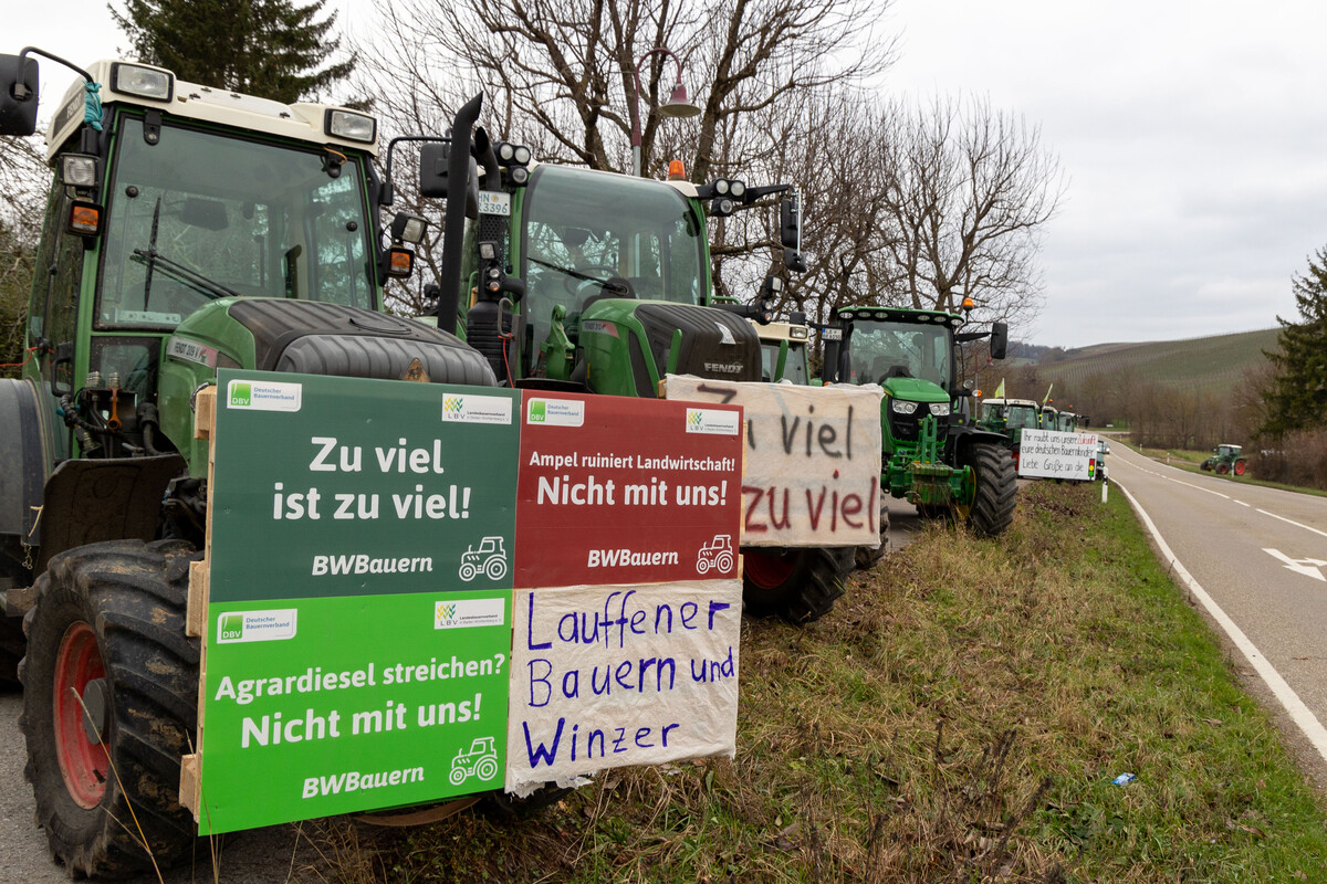 Eindrcke der Aktionswoche