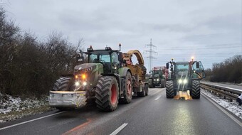 Eindrcke der Aktionswoche