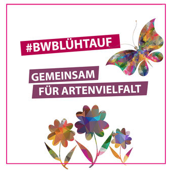 BWblhtauf - gemeinsam fr Artenvielfalt