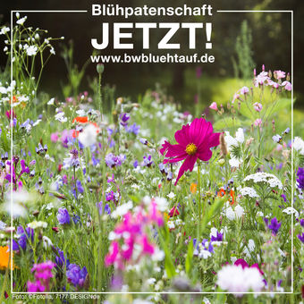 Blhpatenschaft jetzt