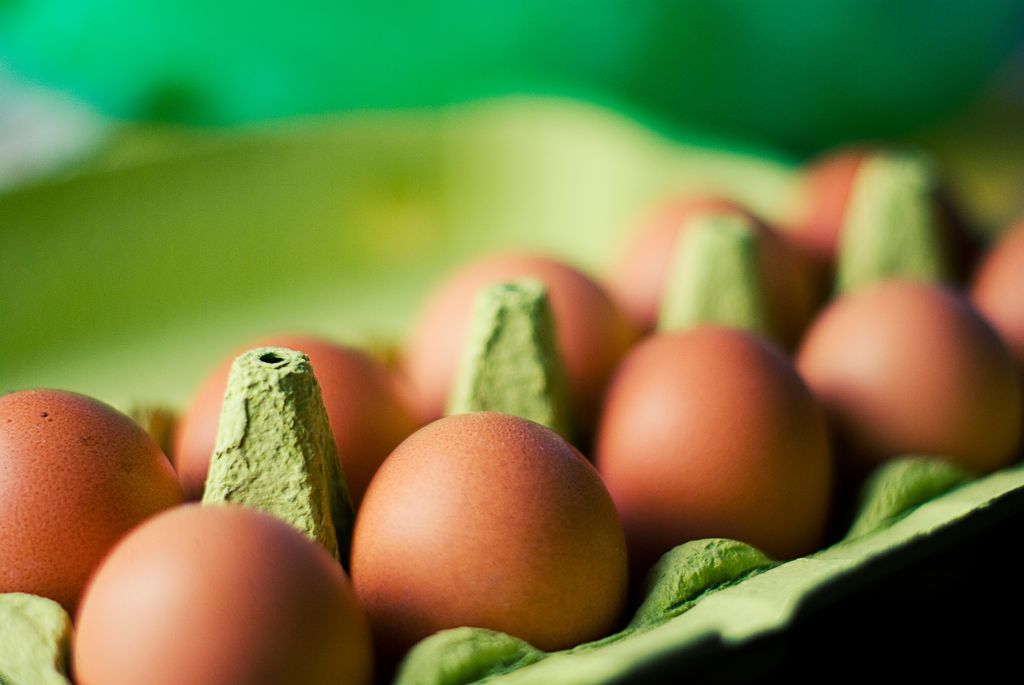 Eier in einem Eierkarton