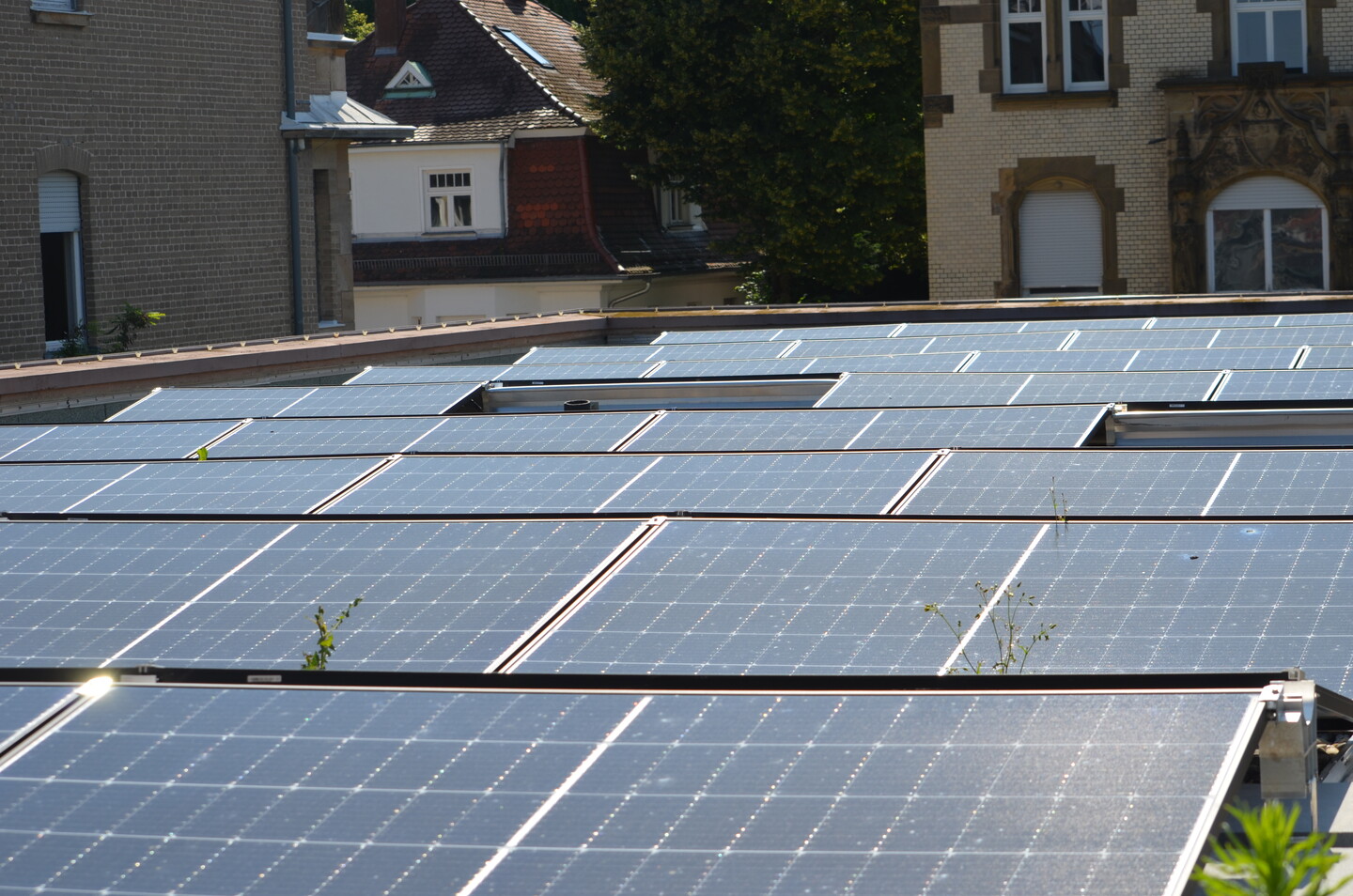 Rund 72.000 kWh versprechen sich die Verantwortlichen von der neuen Anlage.