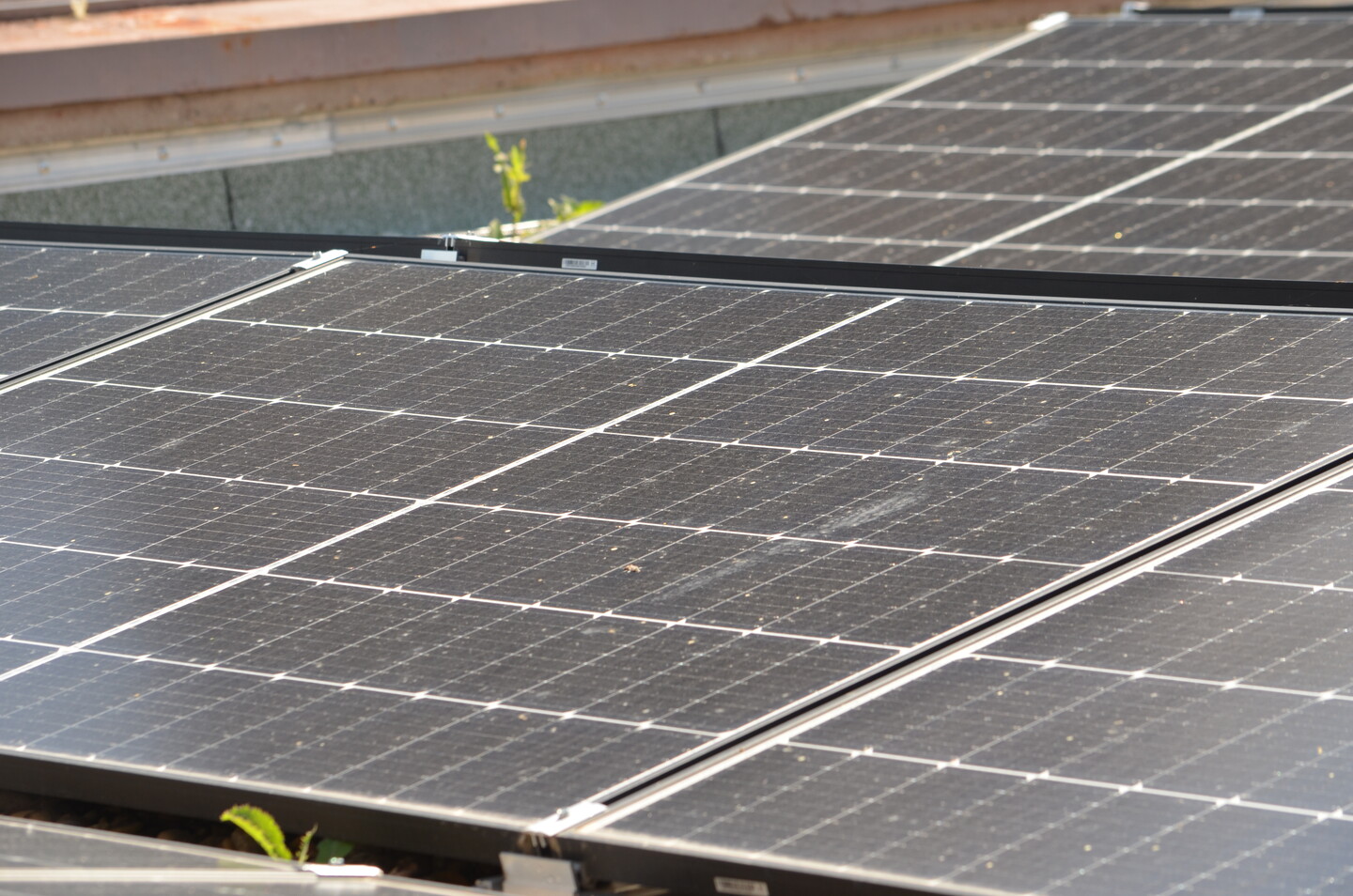 Die Photovoltaikanlage des LBV hat eine Flche von 480 qm.