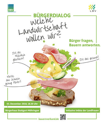 Webversion Brgerdialog