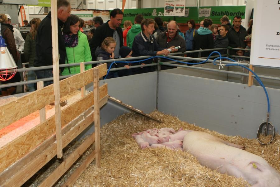Oberschwabenschau 2016