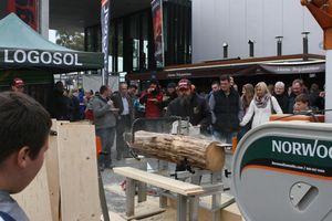 Oberschwabenschau 2016
