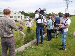 LBV Pressegesprch Jakobskreuzkraut010