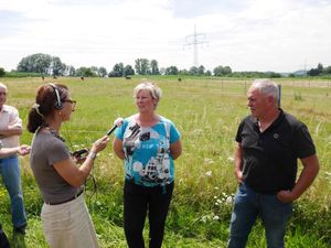 LBV Pressegesprch Jakobskreuzkraut013