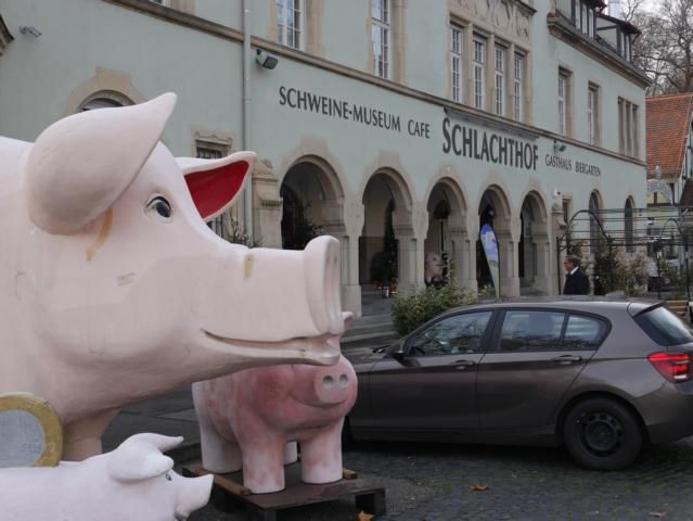 LBV-Jahrespressekonferenz 2015008