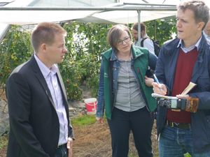 LBV Ernte-Pressekonferenz017