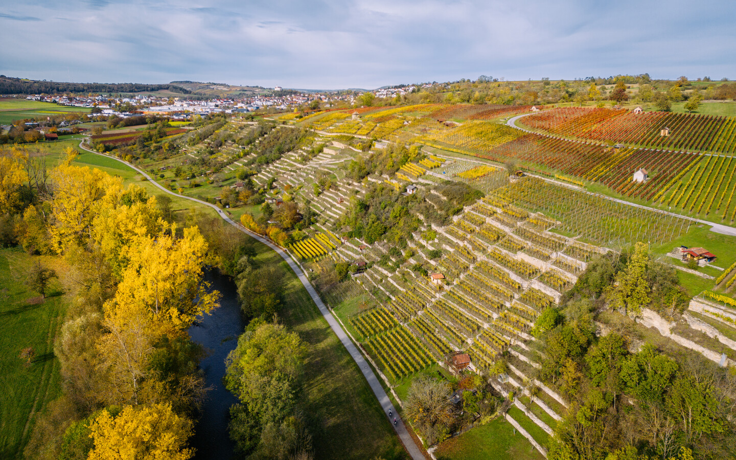 Ein Bereich, in dem Kinzinger besonders viel Herzblut steckt, ist der Weinbau  sein persnliches Steckenpferd. 