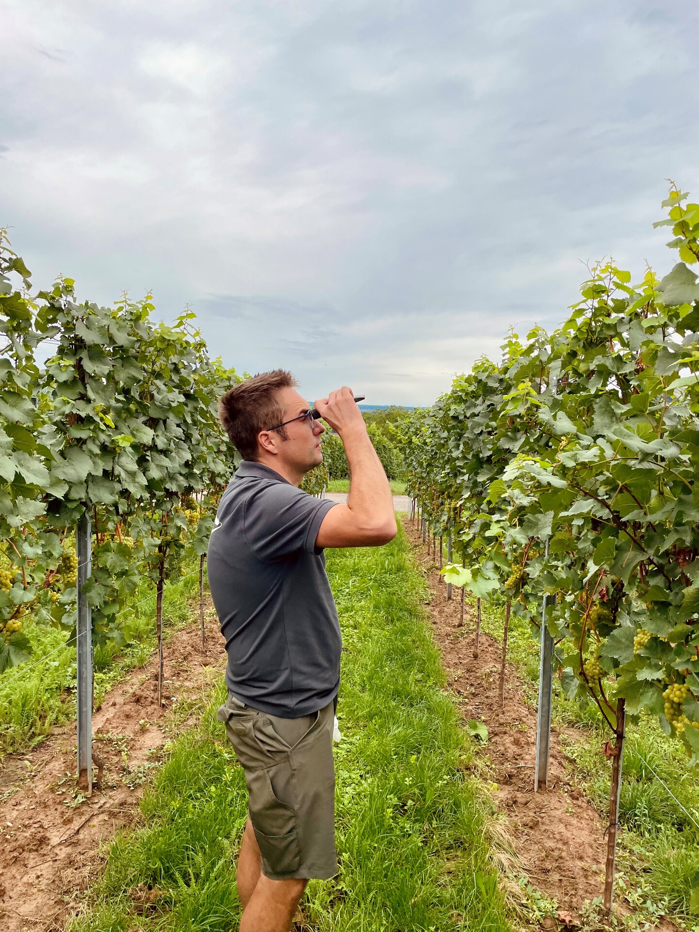 . Seine Philosophie: Herkunft und Charakter muss man in einem guten Wein schmecken. Auf den Lagen in Enzweihingen und am Horrheimer Klosterberg bewirtschaftet er rund acht Hektar Rebflche  dort gedeihen 50 Prozent weie Rebsorten, die andere Hlfte rote Rebsorten. 