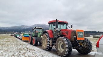 Eindrcke der Aktionswoche